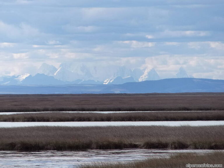 lago junin a 002